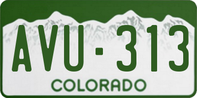 CO license plate AVU313