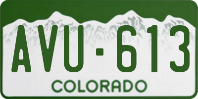 CO license plate AVU613