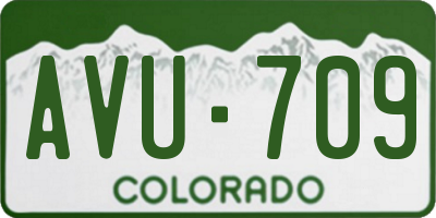 CO license plate AVU709