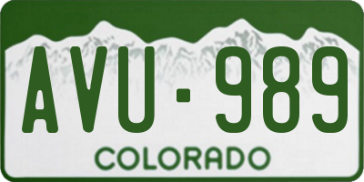 CO license plate AVU989