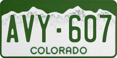 CO license plate AVY607