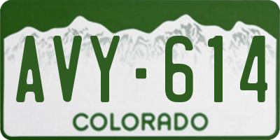 CO license plate AVY614