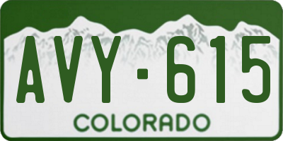 CO license plate AVY615