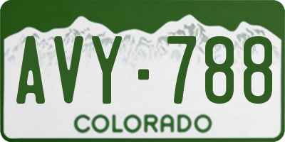 CO license plate AVY788