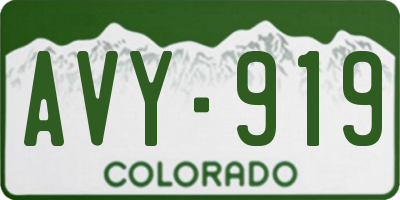 CO license plate AVY919
