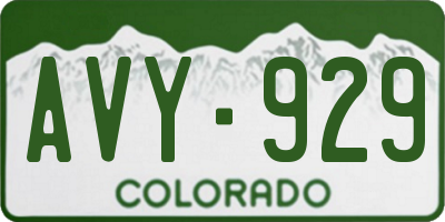 CO license plate AVY929