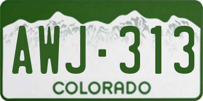 CO license plate AWJ313