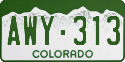 CO license plate AWY313