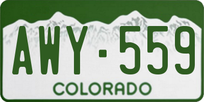 CO license plate AWY559