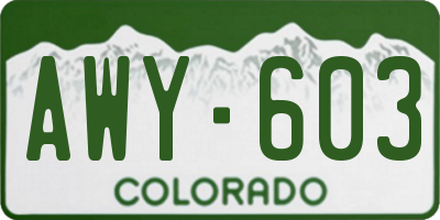 CO license plate AWY603