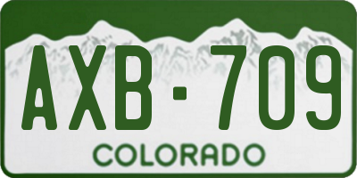 CO license plate AXB709