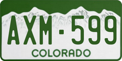 CO license plate AXM599