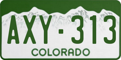 CO license plate AXY313