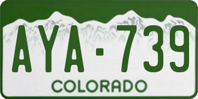 CO license plate AYA739
