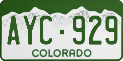 CO license plate AYC929