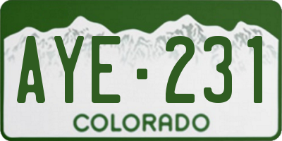 CO license plate AYE231