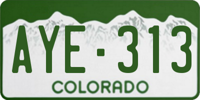 CO license plate AYE313