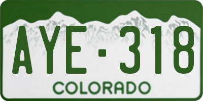 CO license plate AYE318