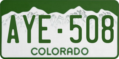 CO license plate AYE508