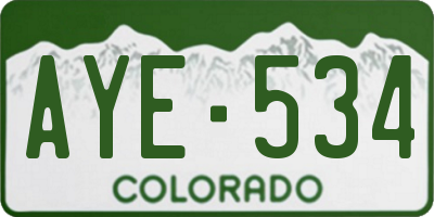 CO license plate AYE534