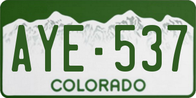 CO license plate AYE537