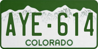 CO license plate AYE614