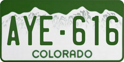 CO license plate AYE616