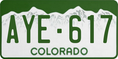 CO license plate AYE617