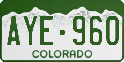 CO license plate AYE960