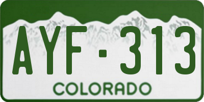 CO license plate AYF313