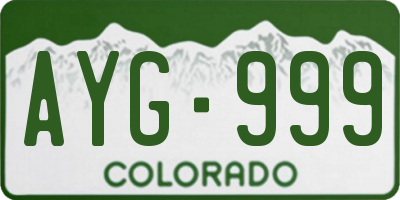 CO license plate AYG999
