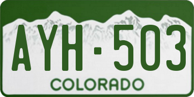 CO license plate AYH503