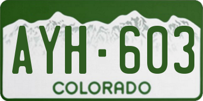 CO license plate AYH603
