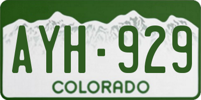 CO license plate AYH929