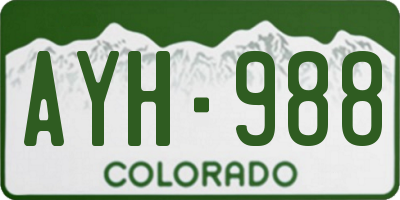 CO license plate AYH988