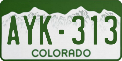 CO license plate AYK313