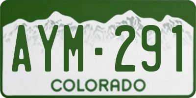 CO license plate AYM291