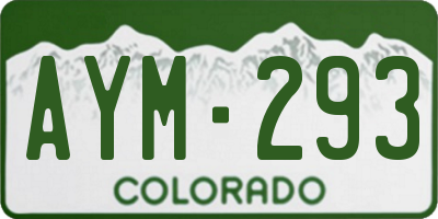 CO license plate AYM293