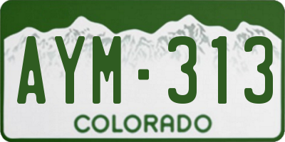 CO license plate AYM313