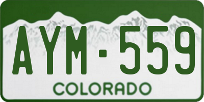 CO license plate AYM559