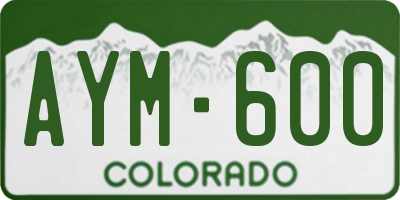CO license plate AYM600