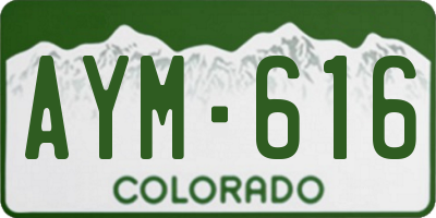 CO license plate AYM616