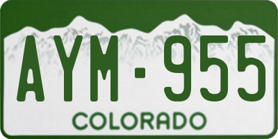 CO license plate AYM955