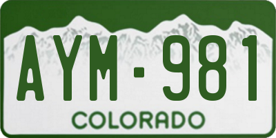 CO license plate AYM981