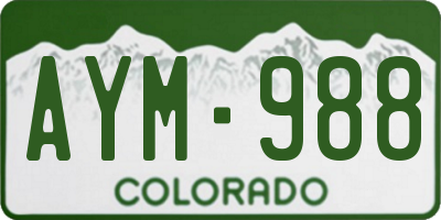 CO license plate AYM988