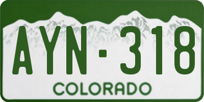 CO license plate AYN318