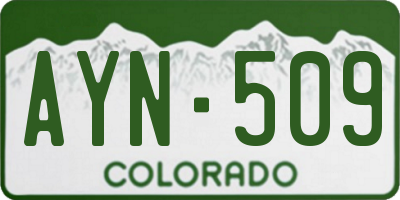 CO license plate AYN509