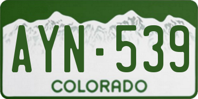 CO license plate AYN539