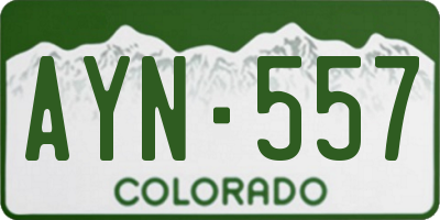 CO license plate AYN557