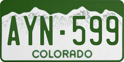 CO license plate AYN599